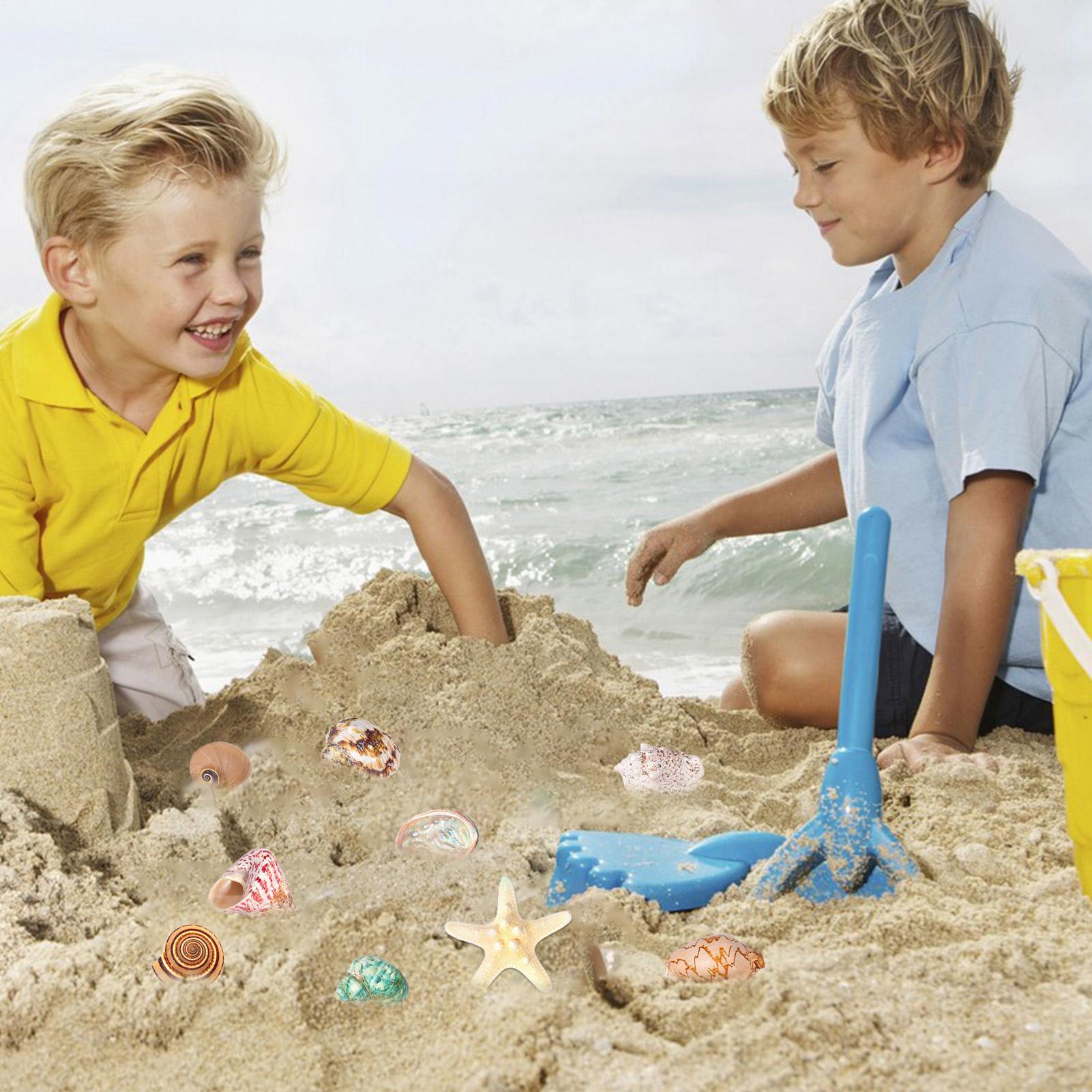 2025 conchas calendário do adv - Kids Toys Christmas 2025 avaliação e preço